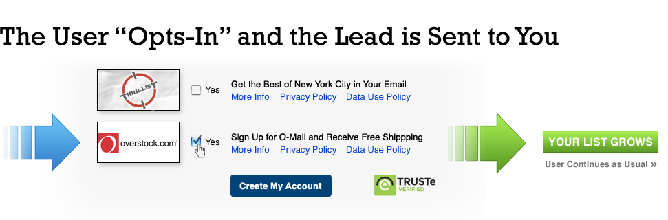 Step 4: The User 'Opts-In' and the Lead is Sent to You